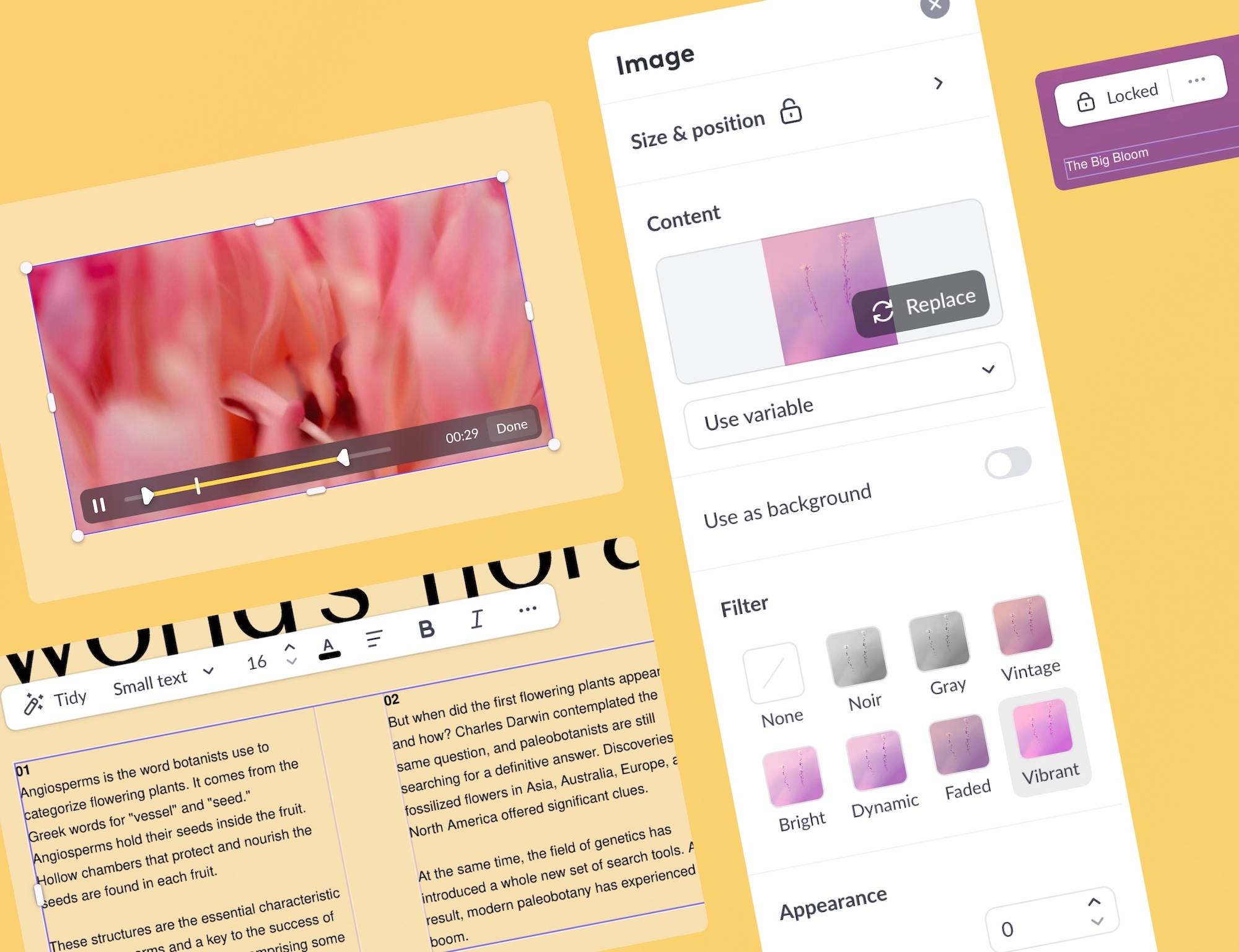 Different UI that’s part of a slide editor such as video controls or image editing options