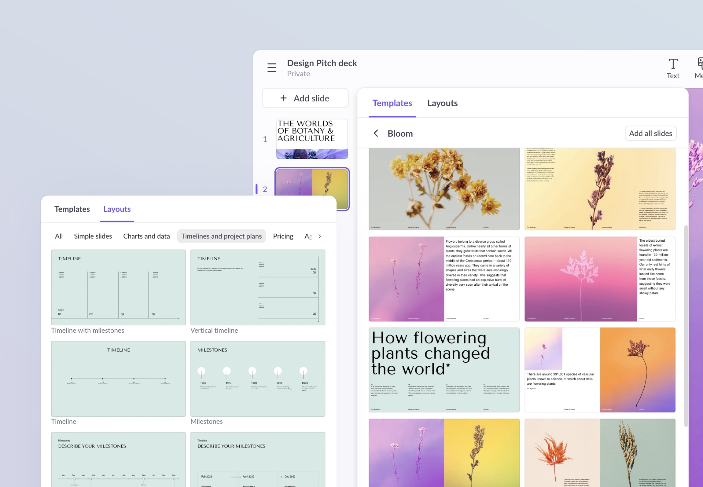 Screenshot of the first two sections of the slide picker: the selected template and Layouts